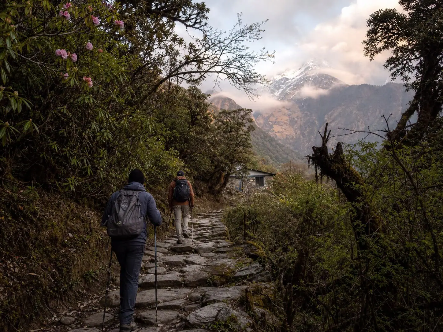 Annapurna mountain landscape in Nepal
