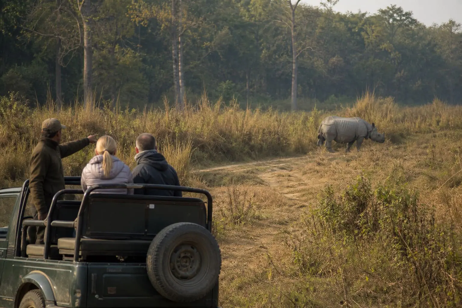 One-horned rhinoceros seen from a guided jeep safari in Chitwan