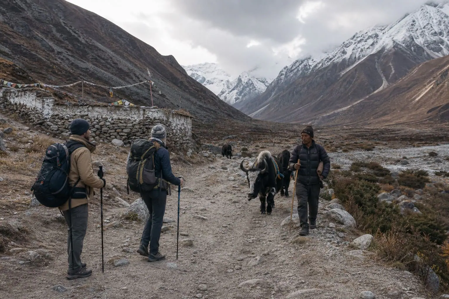 Yak herder on a trail in Nepal's Langtang Valley