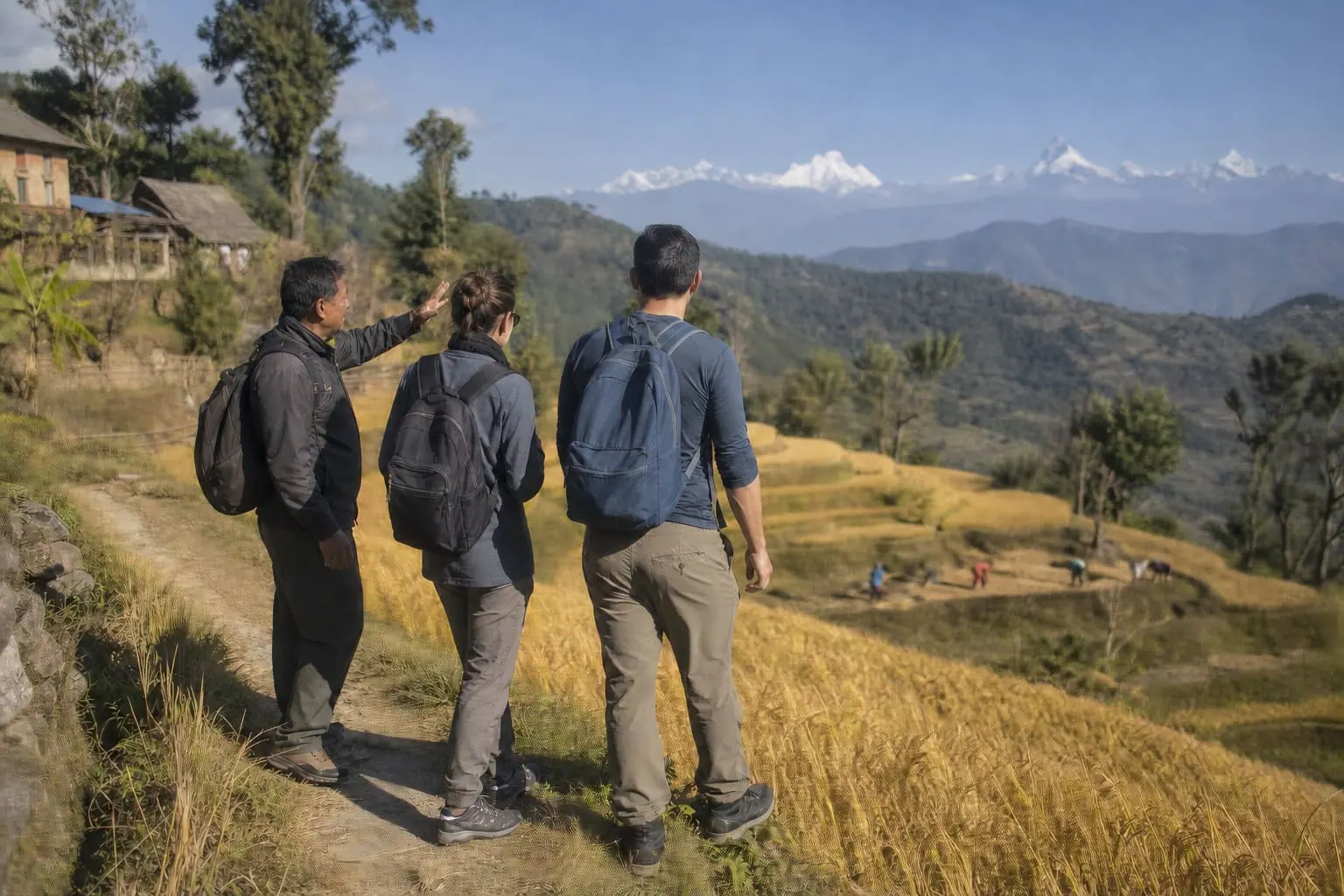 Guide and travelers overlooking golden terraces and clear Himalayan peaks in autumn
